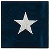 Embroidered Stars