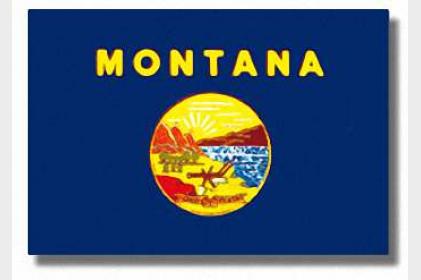 Montana State Flag