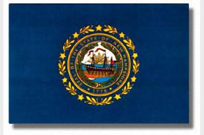 New Hampshire State Flag
