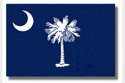 South Carolina State Flag