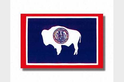 Wyoming State Flag