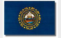 New Hampshire State Flag
