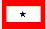 Service Banner & Flag